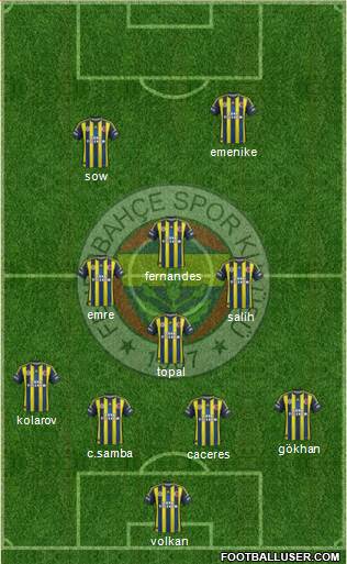 Fenerbahçe SK Formation 2013