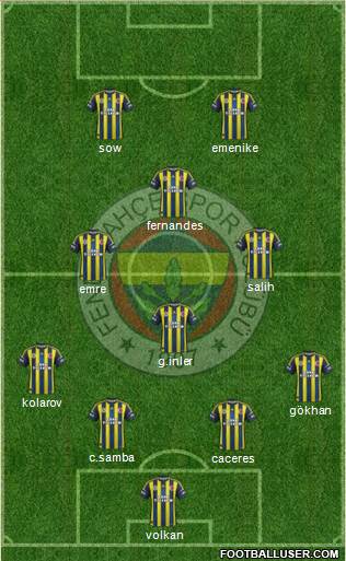 Fenerbahçe SK Formation 2013