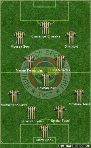 Fenerbahçe SK Formation 2013