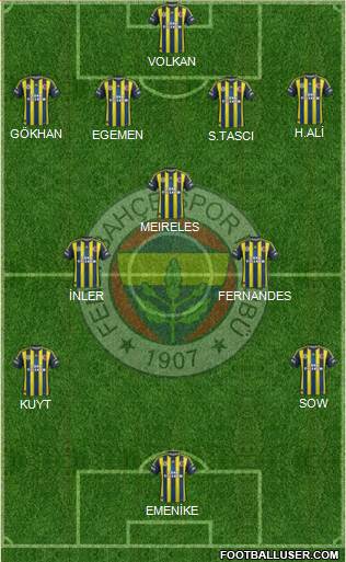 Fenerbahçe SK Formation 2013