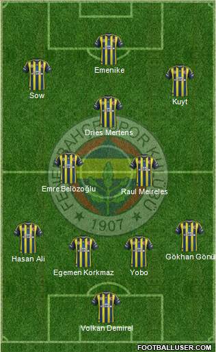 Fenerbahçe SK Formation 2013