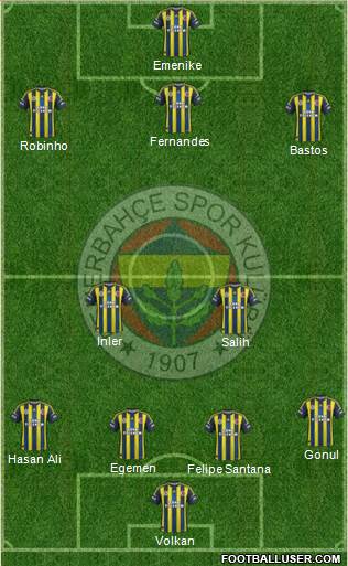 Fenerbahçe SK Formation 2013