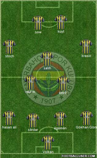 Fenerbahçe SK Formation 2013