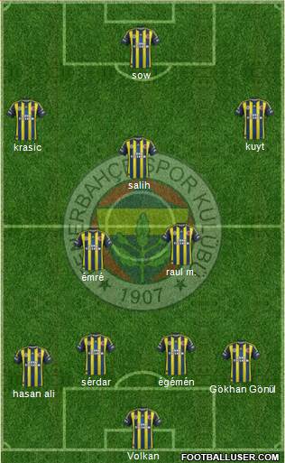 Fenerbahçe SK Formation 2013
