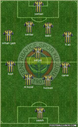 Fenerbahçe SK Formation 2013