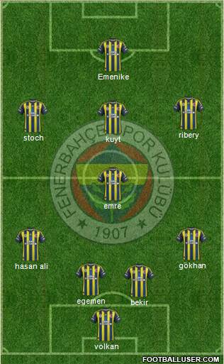 Fenerbahçe SK Formation 2013