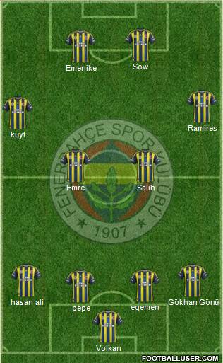Fenerbahçe SK Formation 2013