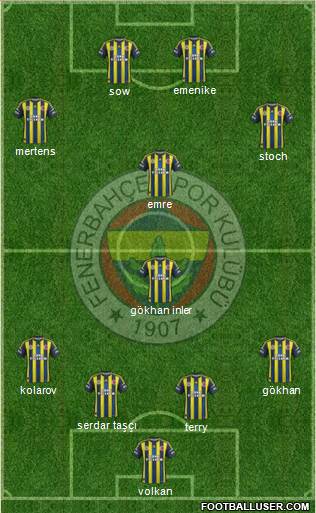 Fenerbahçe SK Formation 2013