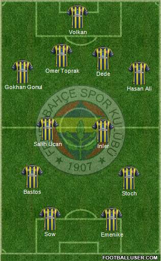Fenerbahçe SK Formation 2013
