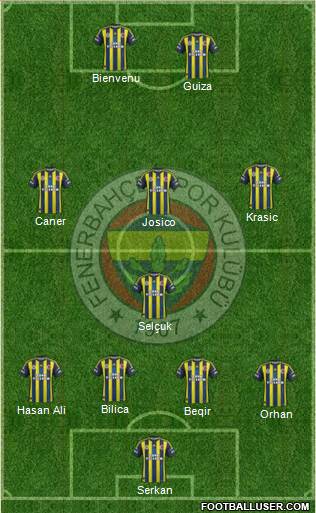 Fenerbahçe SK Formation 2013