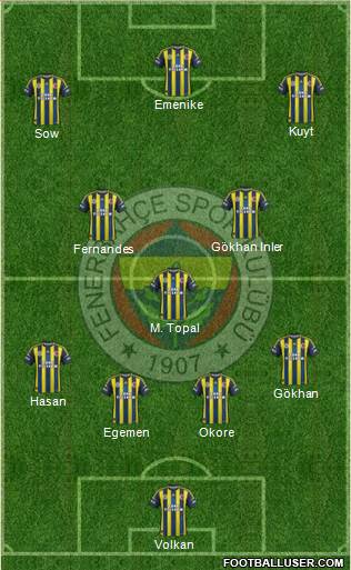 Fenerbahçe SK Formation 2013