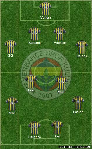 Fenerbahçe SK Formation 2013