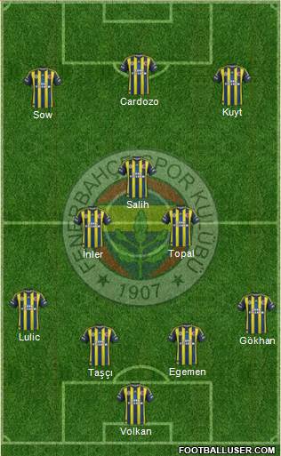 Fenerbahçe SK Formation 2013