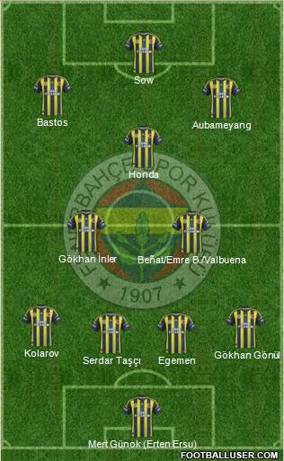 Fenerbahçe SK Formation 2013