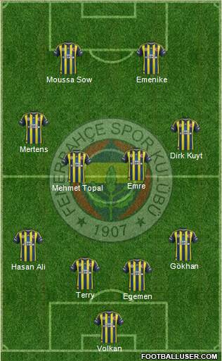Fenerbahçe SK Formation 2013