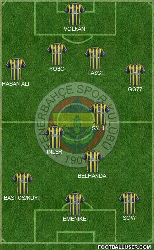Fenerbahçe SK Formation 2013