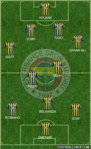 Fenerbahçe SK Formation 2013