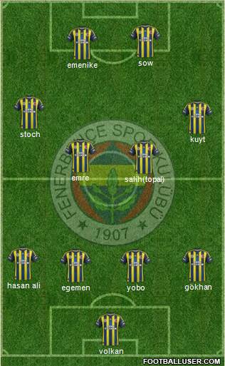 Fenerbahçe SK Formation 2013