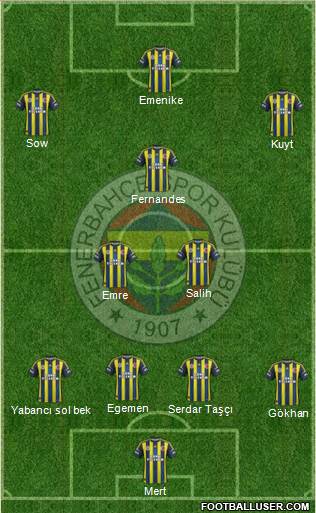 Fenerbahçe SK Formation 2013