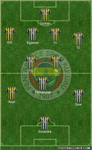 Fenerbahçe SK Formation 2013