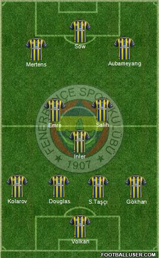 Fenerbahçe SK Formation 2013