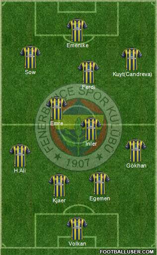Fenerbahçe SK Formation 2013