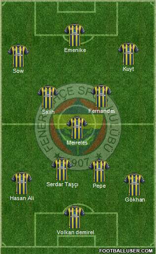 Fenerbahçe SK Formation 2013