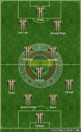 Fenerbahçe SK Formation 2013