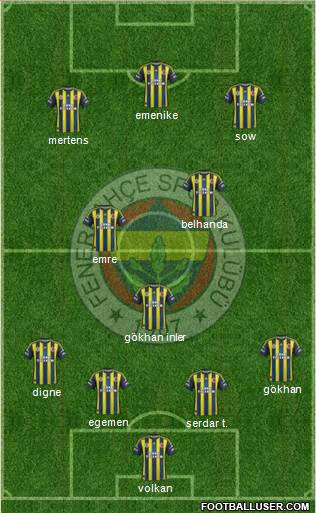 Fenerbahçe SK Formation 2013