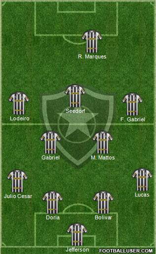 Botafogo FR Formation 2013