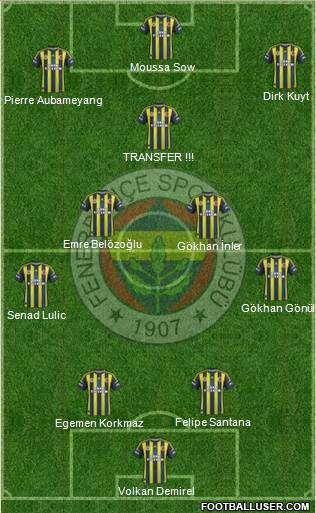 Fenerbahçe SK Formation 2013