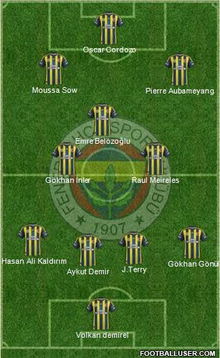 Fenerbahçe SK Formation 2013