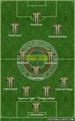 Fenerbahçe SK Formation 2013