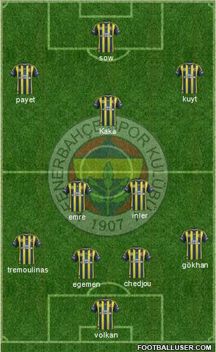 Fenerbahçe SK Formation 2013