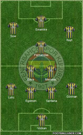 Fenerbahçe SK Formation 2013