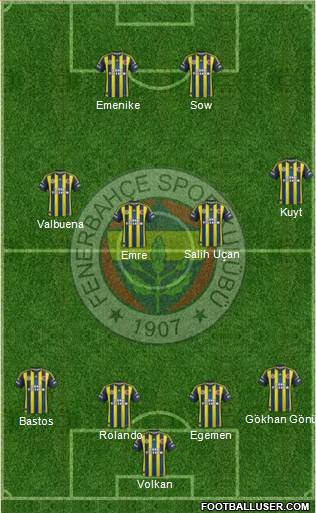 Fenerbahçe SK Formation 2013