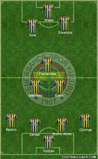 Fenerbahçe SK Formation 2013