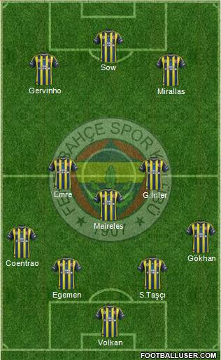 Fenerbahçe SK Formation 2013