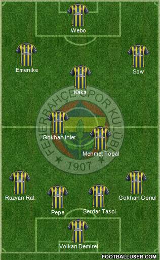 Fenerbahçe SK Formation 2013