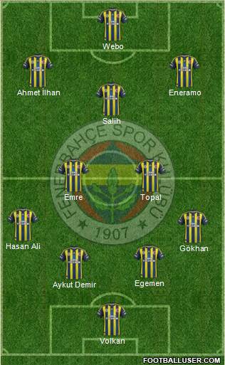 Fenerbahçe SK Formation 2013