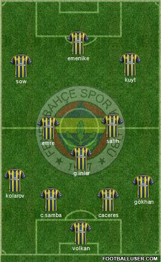 Fenerbahçe SK Formation 2013