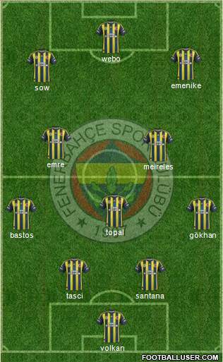 Fenerbahçe SK Formation 2013