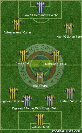 Fenerbahçe SK Formation 2013
