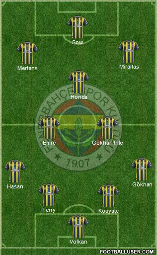 Fenerbahçe SK Formation 2013