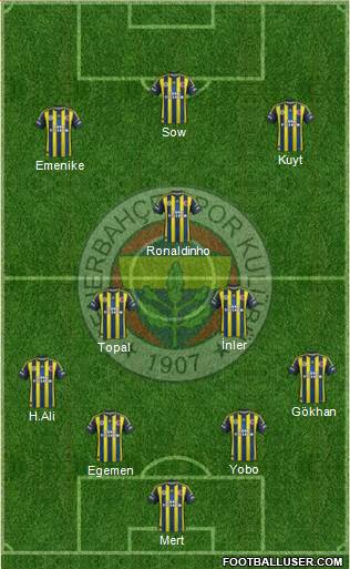 Fenerbahçe SK Formation 2013
