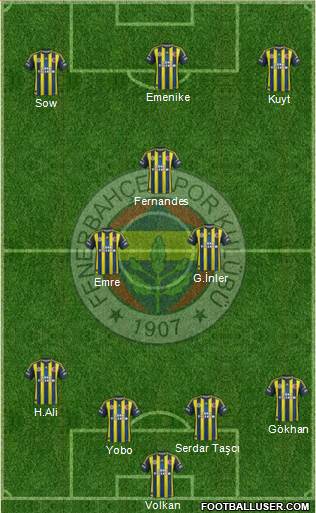 Fenerbahçe SK Formation 2013