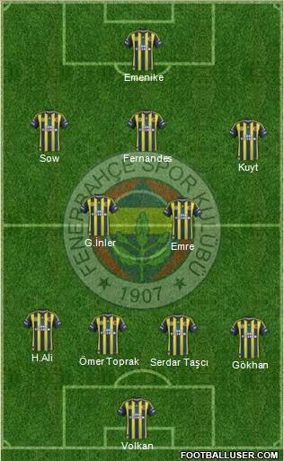 Fenerbahçe SK Formation 2013
