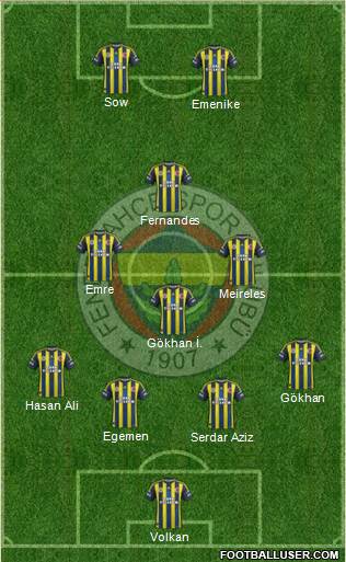 Fenerbahçe SK Formation 2013