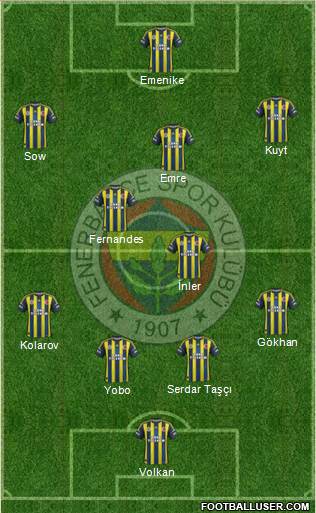 Fenerbahçe SK Formation 2013