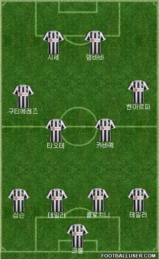 Newcastle United Formation 2013